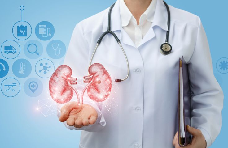 Best Nephrologist in Patna