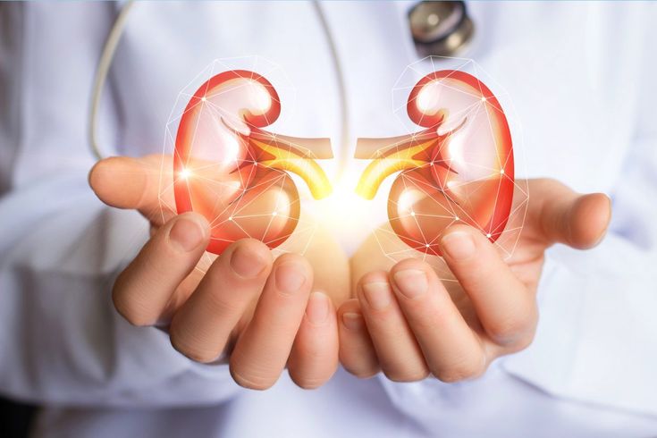 Kidney Specialist in Patna