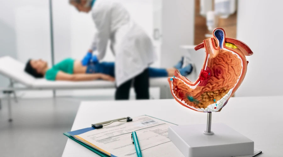 Kidney